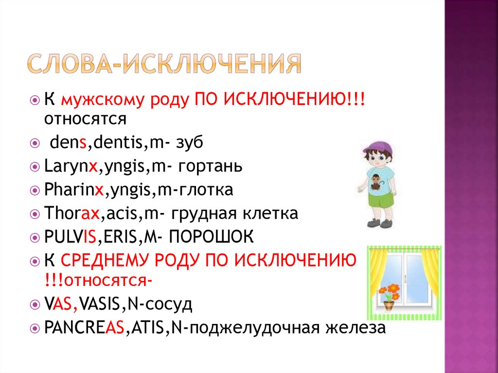 Общее исключение. Слова исключения по роду. Род существительных слова исключения. Род слов в русском языке исключения. Слова исключения мужского рода в русском языке.