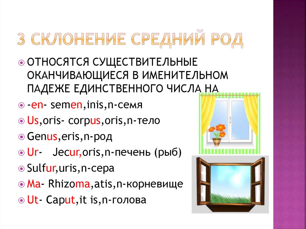 Среднее склонение. Средний род склонение. Средний род 3 склонение. Средний род 3 склонение латынь. Corpus Oris n склонение.