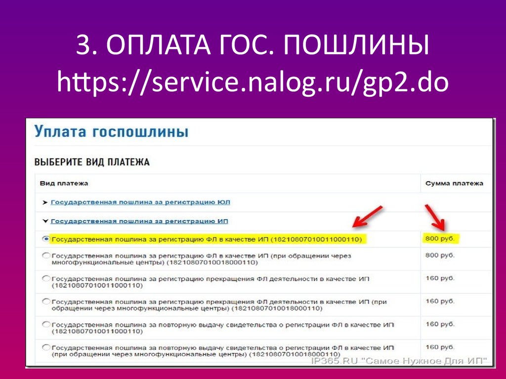 Пример презентации ип 10 класс