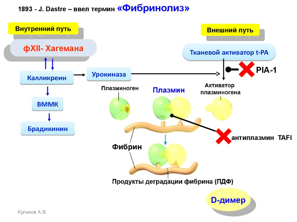 Активаторы плазминогена