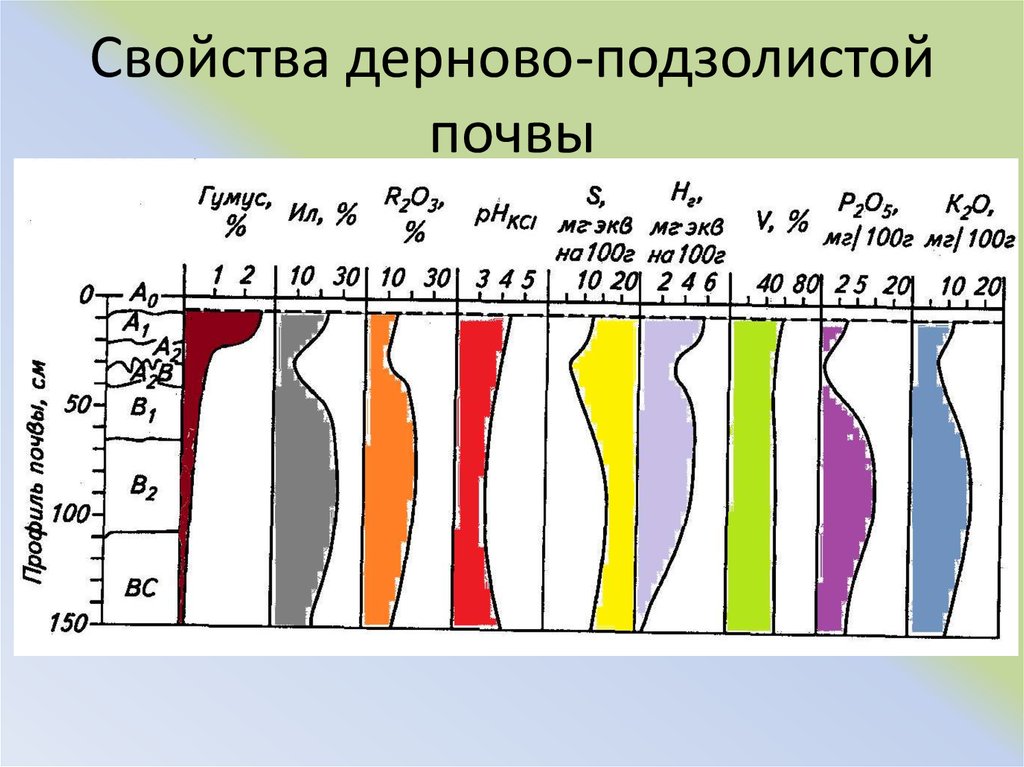 Дерново подзолистые почвы свойства. Свойства дерново-подзолистых почв. Дерново-подзолистые почвы характеристика. Дерново-подзолистые почвы свойства почвы. Дерново-подзолистые почвы состав.