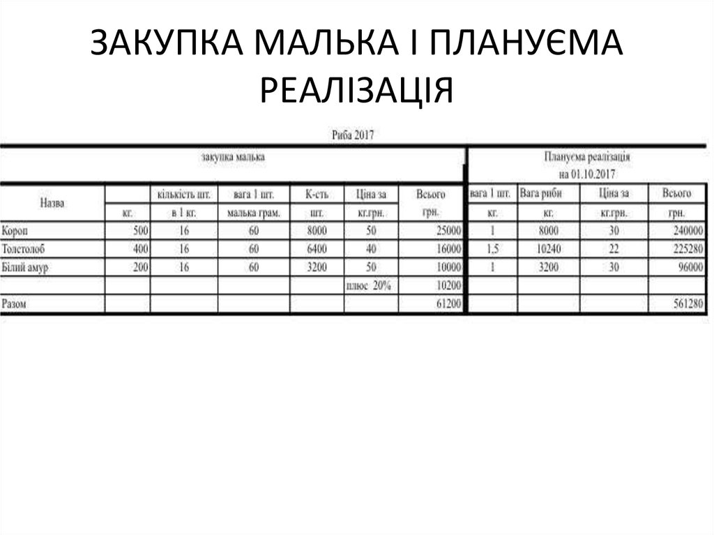 ЗАКУПКА МАЛЬКА І ПЛАНУЄМА РЕАЛІЗАЦІЯ