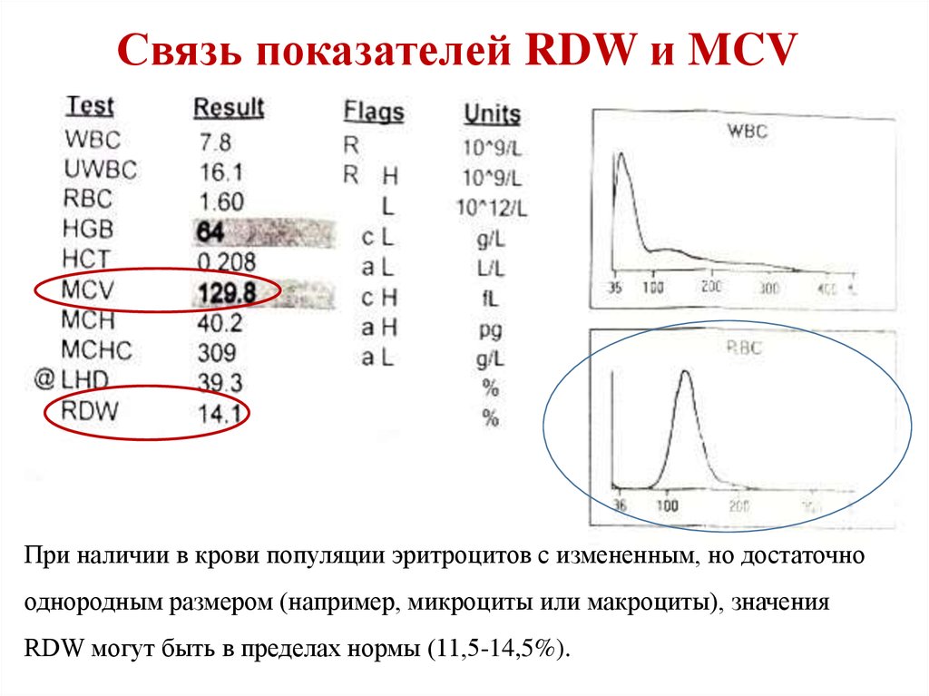 Анализ крови cv. Показатели крови RDW что это. Показатель RDW В анализе. Показатель крови RDW-CV что это и норма. RDW-CV В анализе.