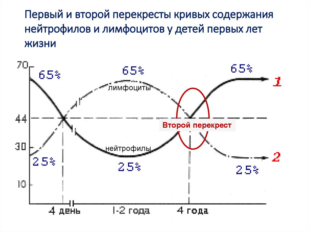 Перекрест. Физиологический Перекрест в лейкоцитарной формуле. Перекрест лейкоцитарной формулы у детей. Первый Перекрест в лейкоцитарной формуле крови у детей. Перекрест в формуле формула нейтрофилов и лимфоцитов.