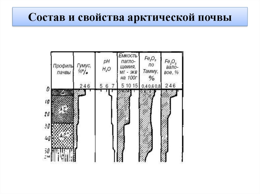 Плодородие арктических почв. Строение почвенного профиля арктических почв. Арктические пустынные почвы профиль. Арктические пустынные почвы строение почвенный профиль. Почва арктических пустынь профиль.