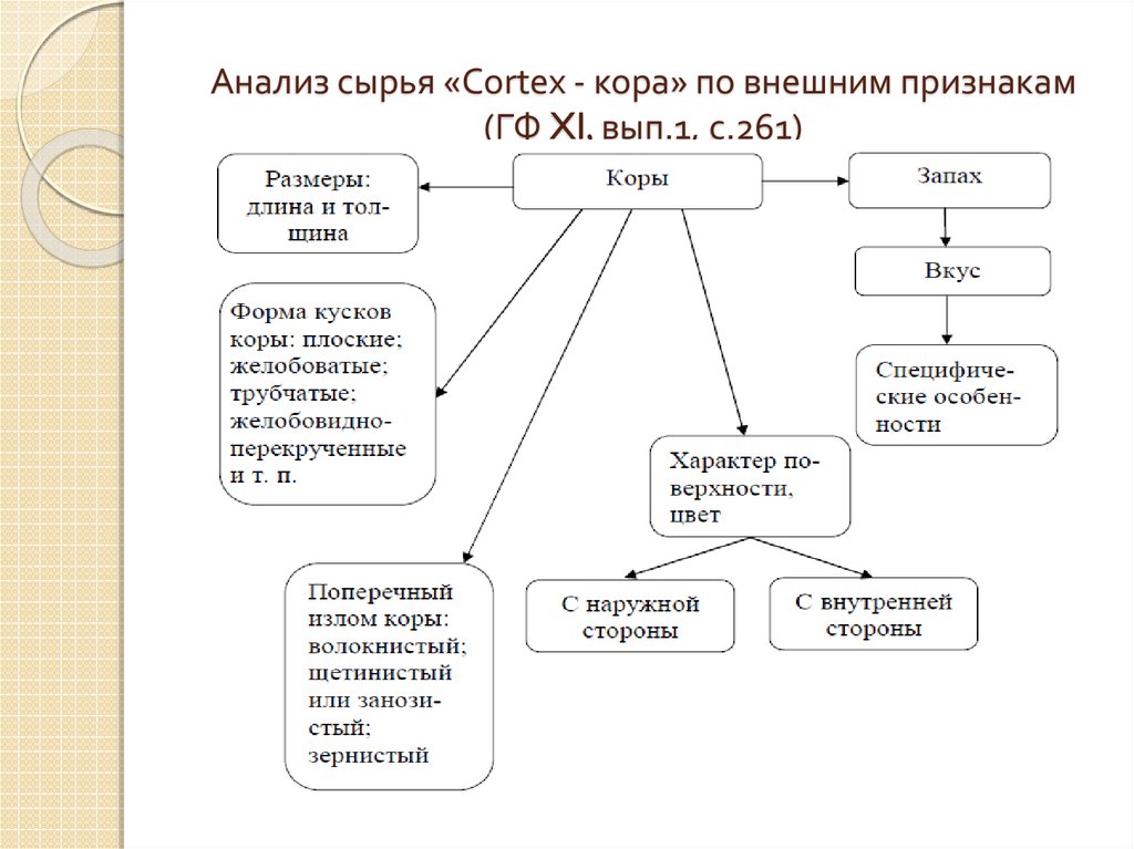 Схема товароведческого анализа