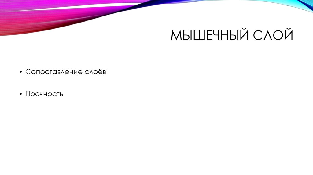 Мышечный слой