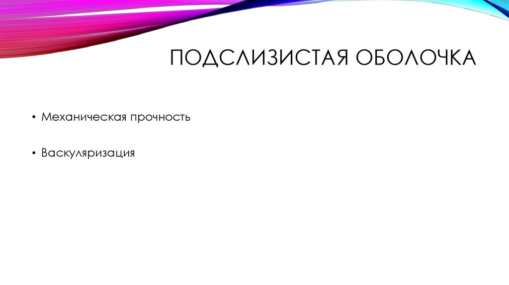 Подслизистая оболочка