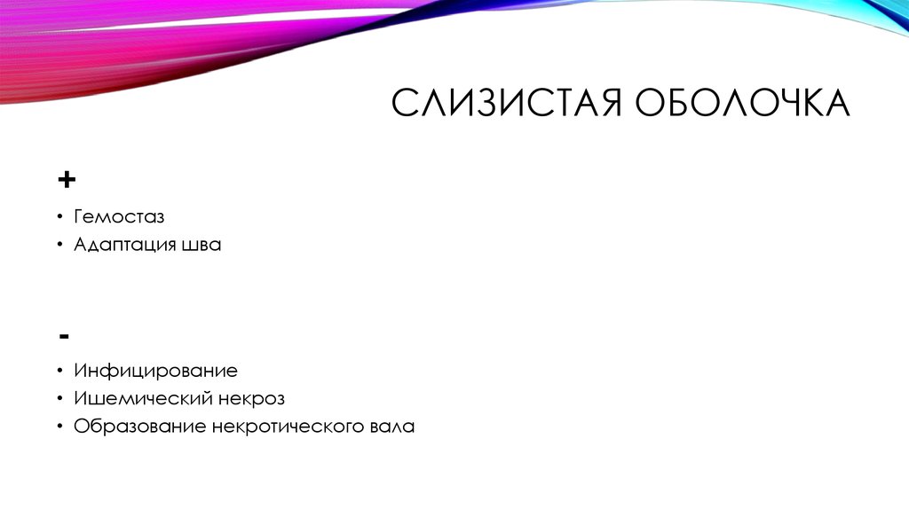 Слизистая оболочка