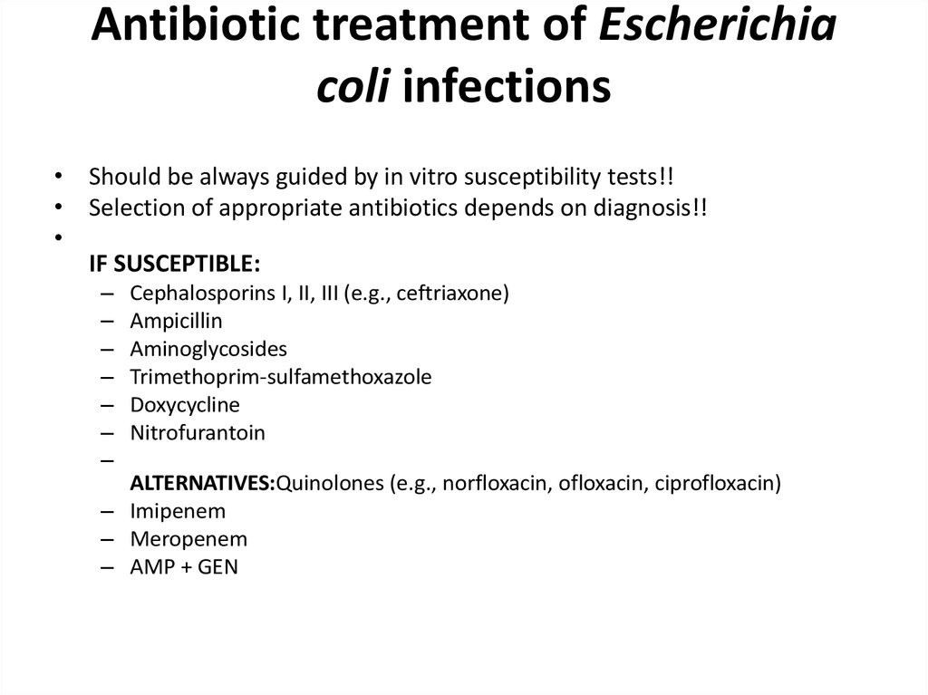 Escherichia Coli Online Presentation