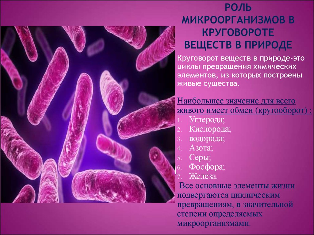 Какую роль бактерии играют в природе 7. Роль микроорганизмов в превращении веществ в природе. Роль микроорганизмов в круговороте веществ. Роль микроорганизмов в круговороте веществ в природе. Роль бактерий в окружающей среде.