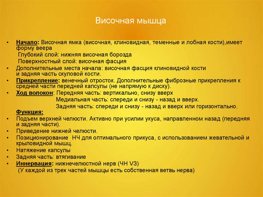 Функция височных мышц. Височная мышца функция. Височно теменная мышца функции. Височная мышца местоположение и функции. Определите функцию височных мышц.