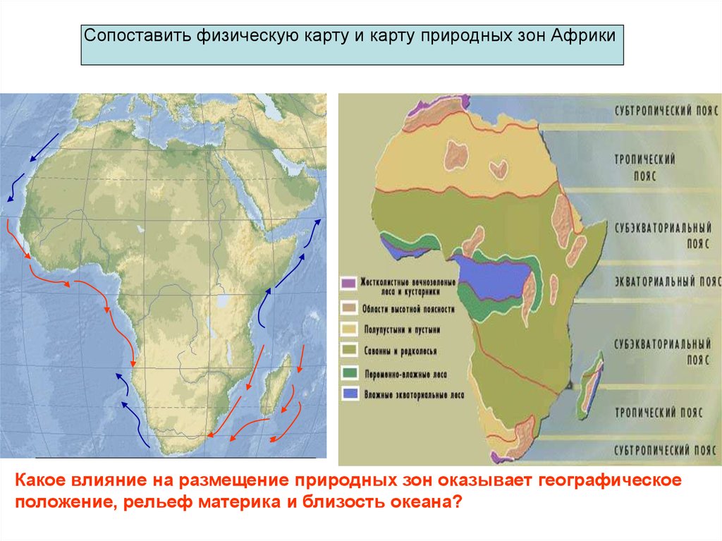 Какие объекты расположены на территории африки. Природные зоны Африки. Природные зоны материка Африка. Карта природных зон Африки. Природные зоны Южной Африки.