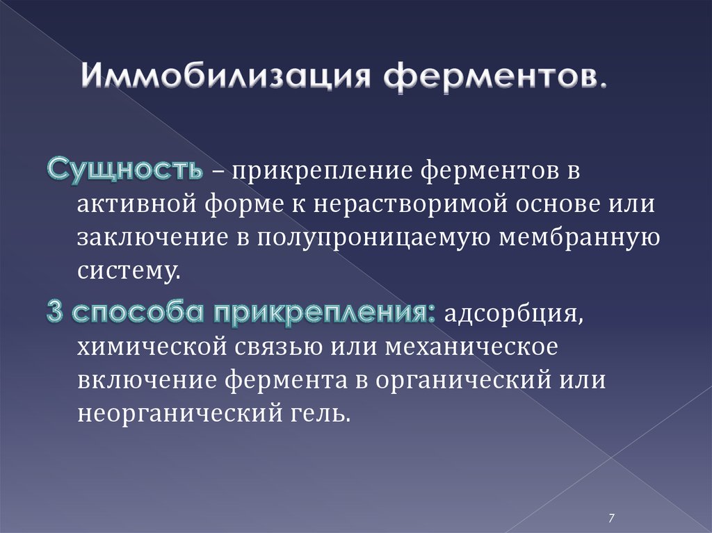 Биотехнология ферментов презентация