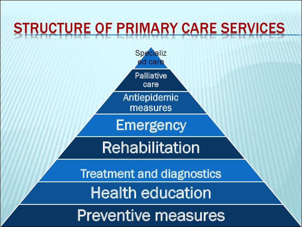 structure of primary care services