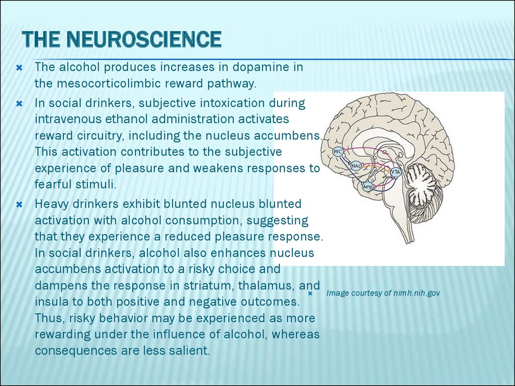 The Neuroscience
