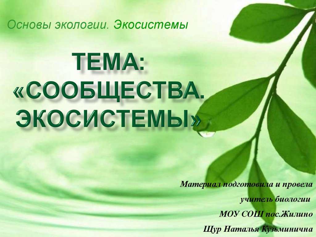 Основы экологии. Сообщество это в экологии. Экология это в биологии. Экологическое сообщество это в биологии. Источник энергии биогеоценоза.