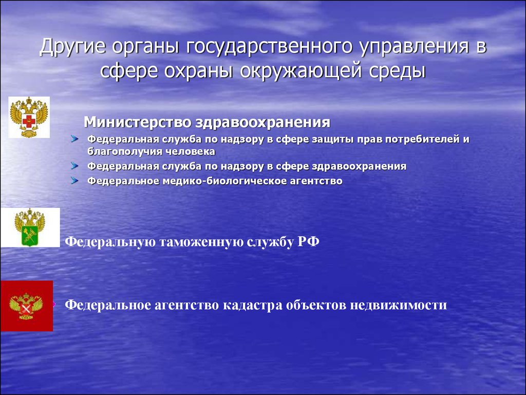 Органы охраны. Органы управления в сфере охраны окружающей среды. Государственное управление охраной окружающей среды. Государственное управление в сфере экологии. Органы управления защитой (охраной) окружающей среды:.