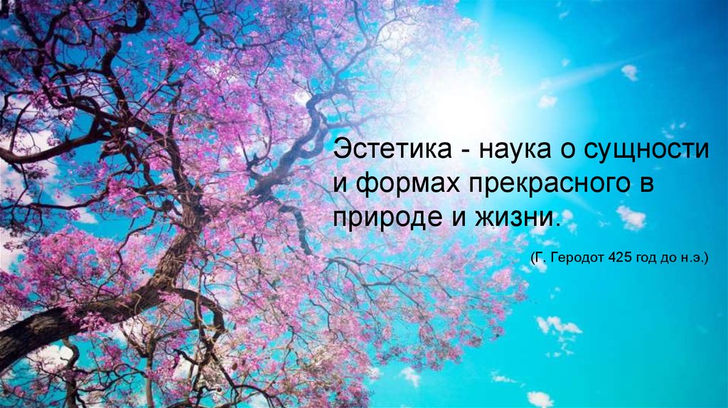 Эстетика. Дизайнер - online presentation