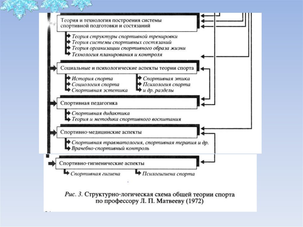 Предмет педагогики спорта. Структура спортивных соревнований. Общая схема спортивного соревнования. Общая характеристика системы спортивной подготовки схема. Структура теории спорта.