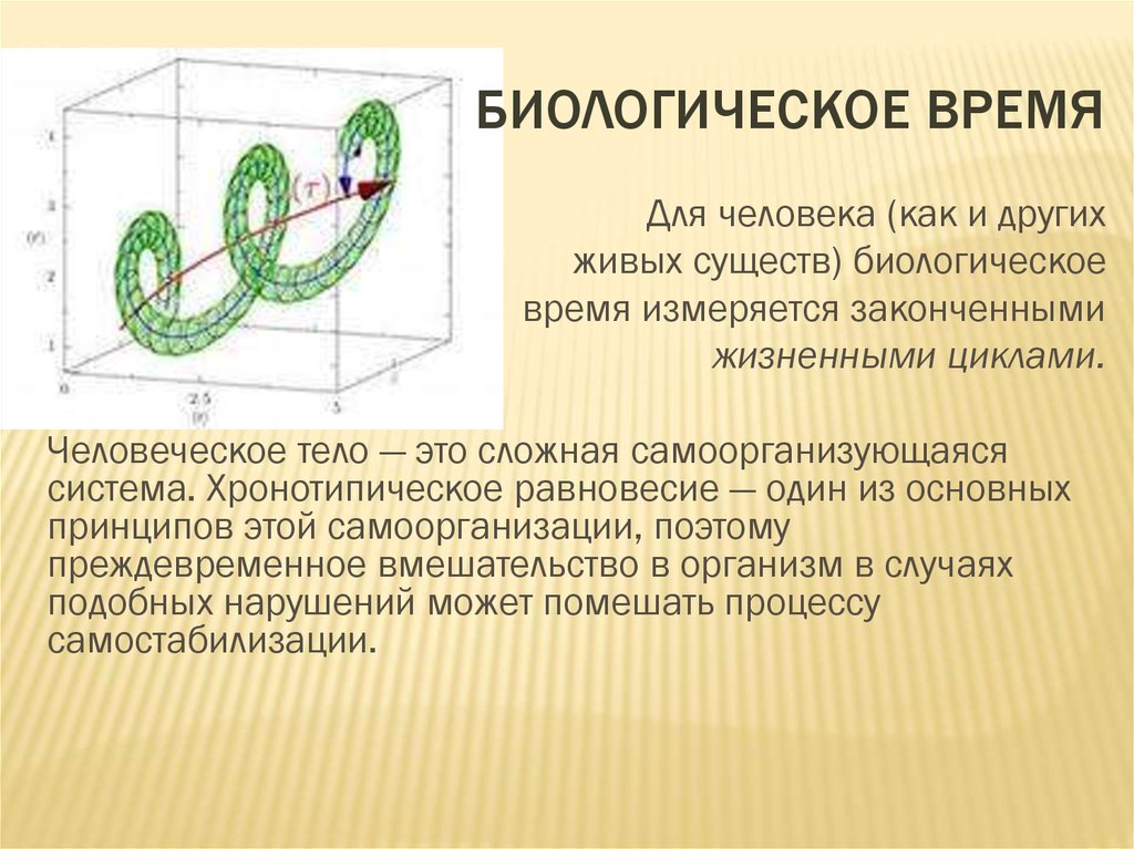 Биология время. Биологическое равновесие. Биологическое время. Нарушение биологического равновесия. Равновесие в биологических системах.