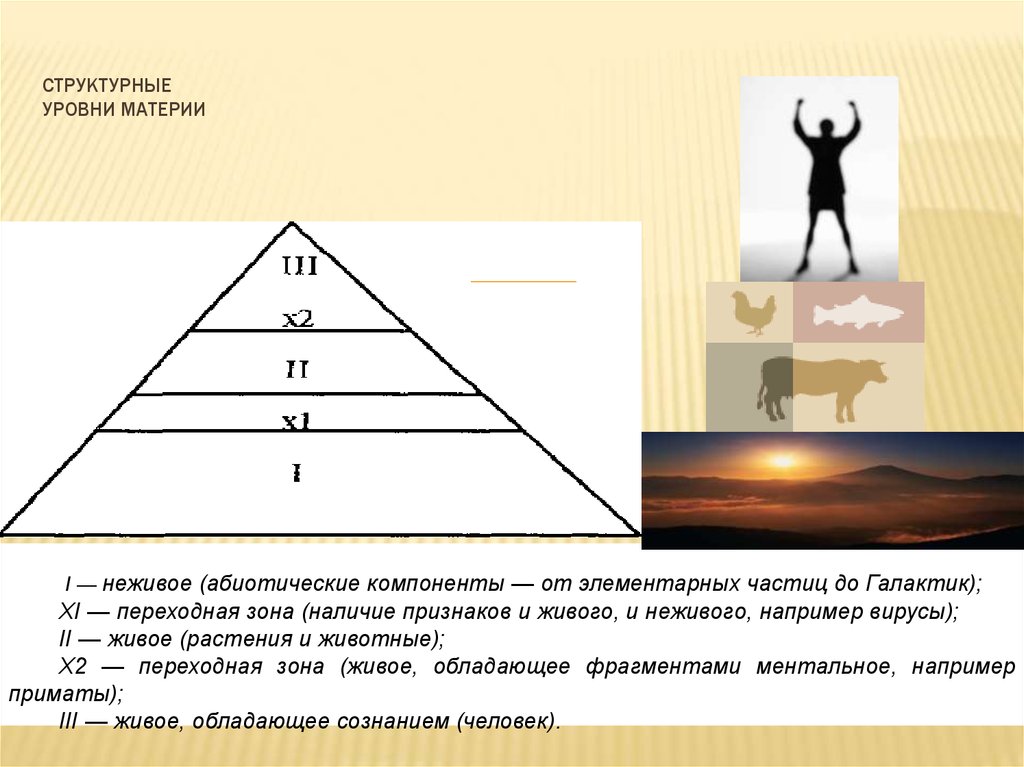 Уровни материи. Структурные уровни. Структурной иерархии материи. Структурные уровни материи в философии.