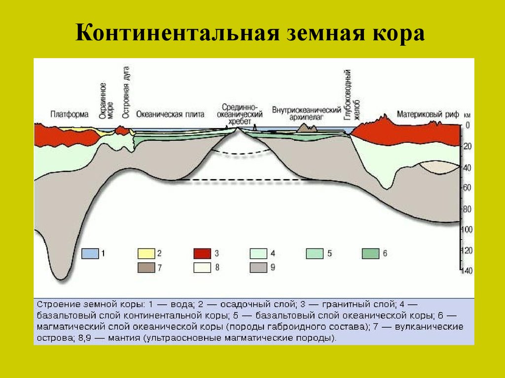 Континентальная 6 4. Субконтинентальный Тип земной коры. Строение океанической земной коры. Базальтовый слой океанической земной коры. Строение Континентальной земной коры.