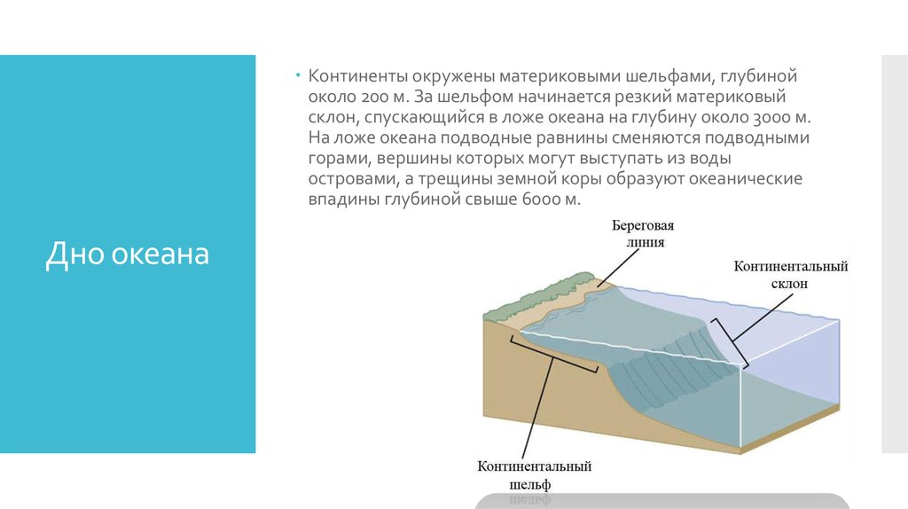 Шельф материковый склон ложе океана. Шельф глубина. Обитатели материкового склона. Глубина материковой отмели. Кромка шельфа.