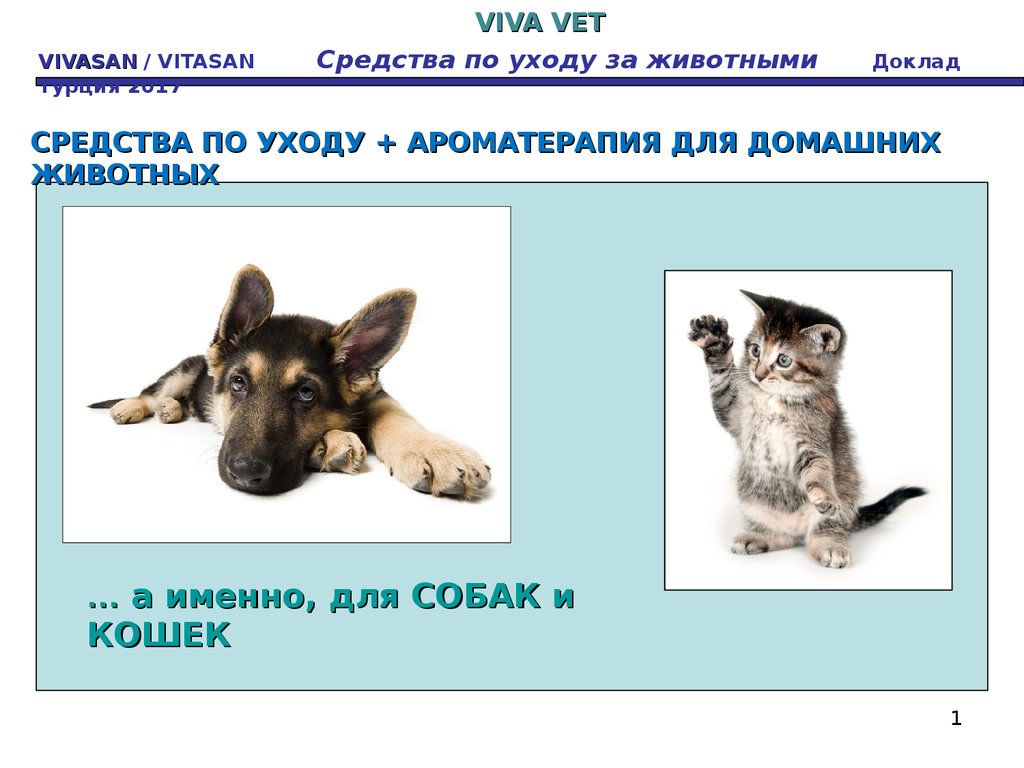 Viva Vet. Средства по уходу за животными - презентация онлайн