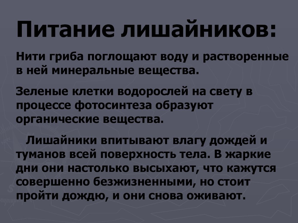 По способу питания лишайники относятся. Питание лишайников. Как питаются лишайники. Способ питания лишайников 5 класс. Лишайники по типу питания.