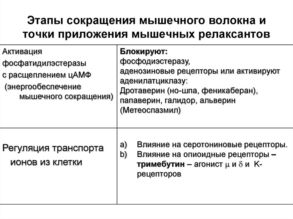 Фазы сокращения. Этапы сокращения мышечного волокна. Этапы сокращения. Этапы сокращения с определением кандидатур. Фаза снижения.