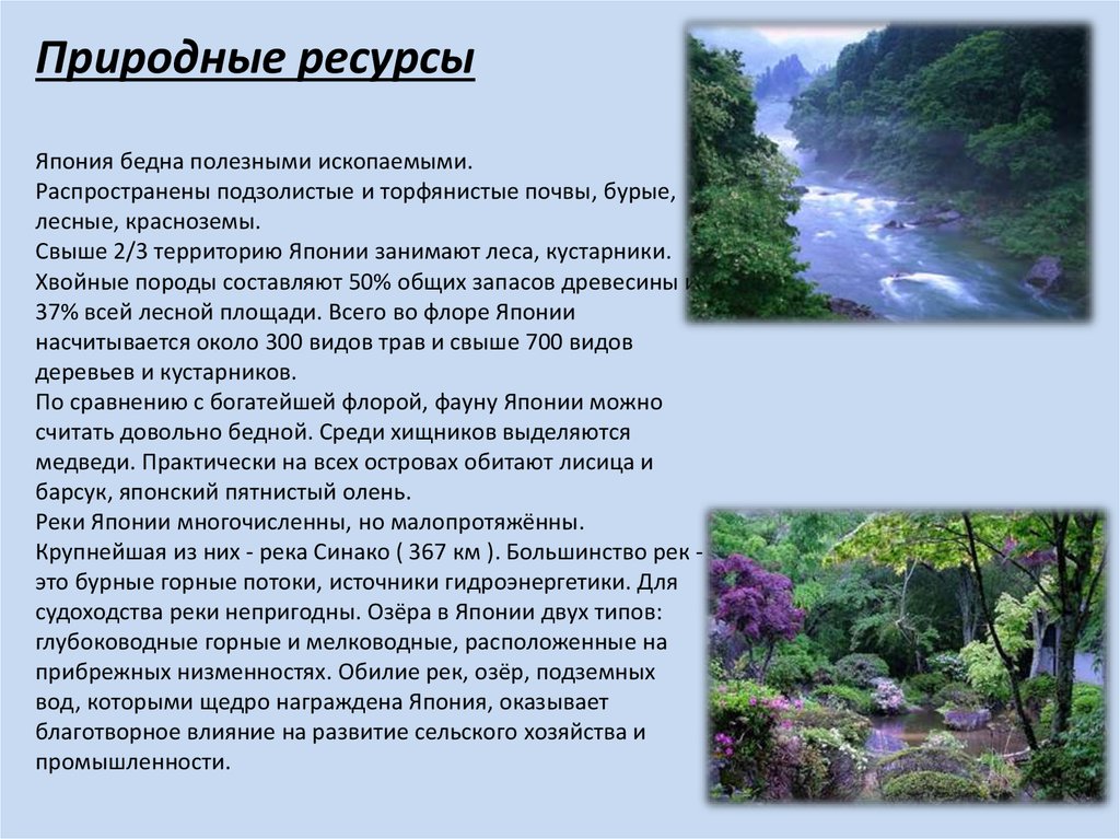 Природные ресурсы японии. Природные Минеральные водные Лесные ресурсы Японии. Характеристика природных ресурсов Японии. Природные ресурсы Японии кратко. Ресурсы Японии кратко.