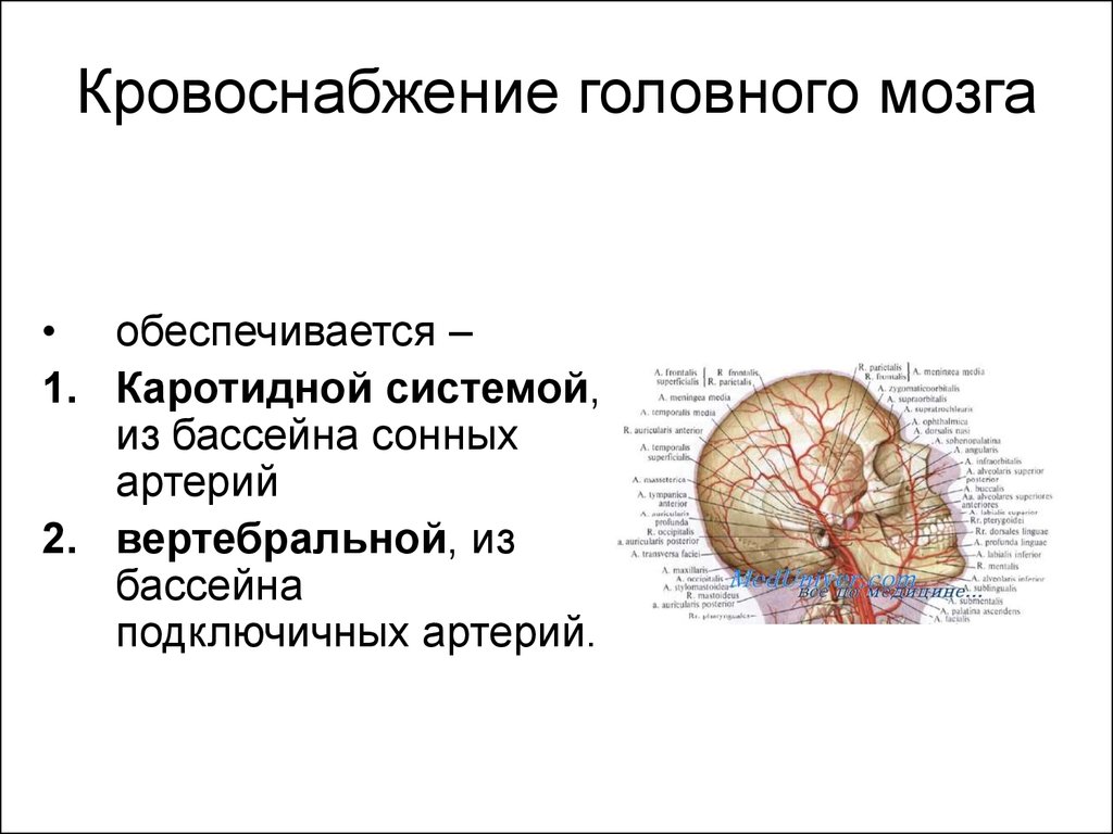 Какая артерия кровоснабжает мозг. Бассейны кровоснабжения головного мозга кт схема. Кровоснабжение головного мозга схема бассейнов. Зоны кровоснабжение головного мозга схема. Кровоснабжение головного мозга кт анатомия.