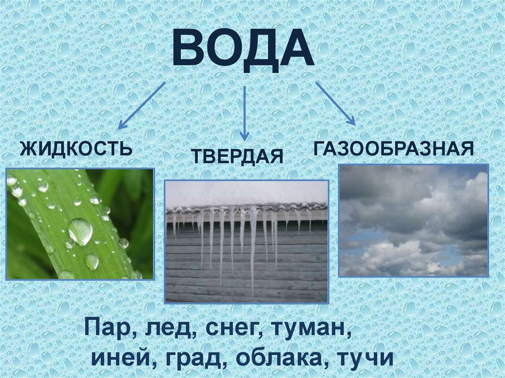 Комета роса вода планета дождь это. Жидкая вода твёрдая вода газообразная вода. Вода в виде дождя. Вода чудо природы. Вода чудо природы проект.