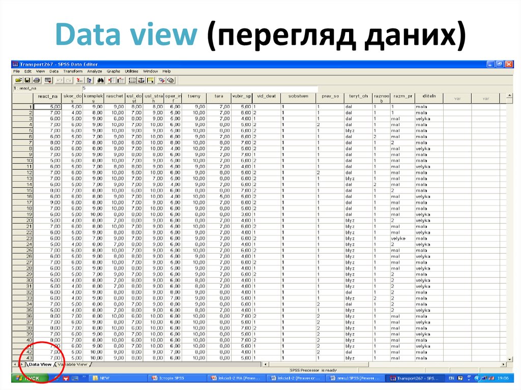 Data view (перегляд даних)