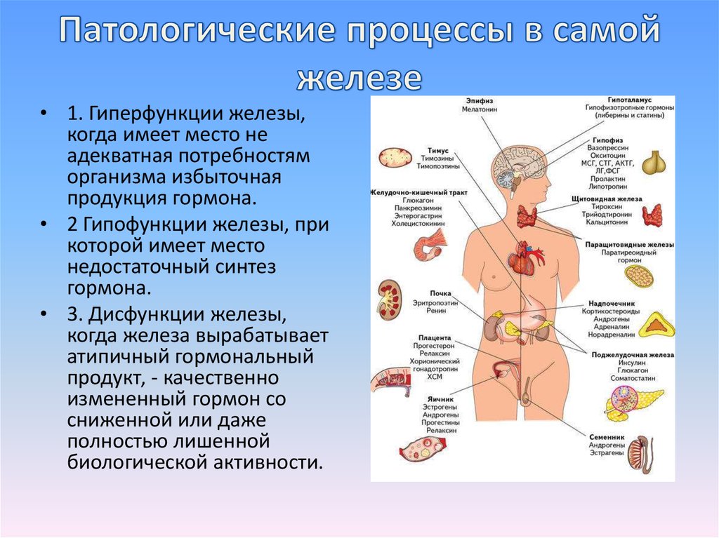 Эндокринные заболевания картинки для презентации