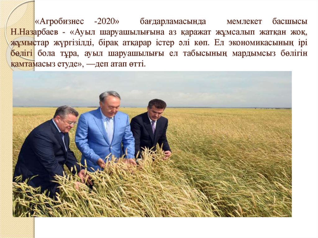 «Агробизнес -2020» бағдарламасында мемлекет басшысы Н.Назарбаев - «Ауыл шаруашылығына аз қаражат жұмсалып жатқан жоқ, жұмыстар