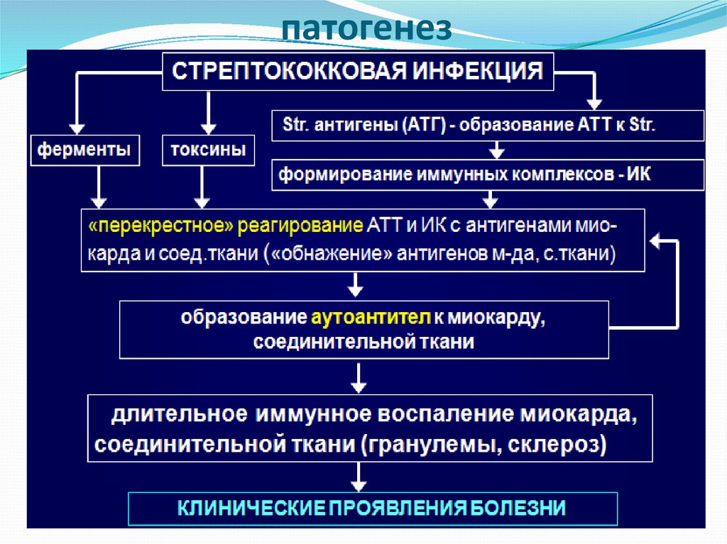 Профилактика патогенеза. Схема патогенеза ревматической лихорадки. Патогенез ревматических болезней. Острая ревматическая болезнь патогенез. Ревматическая болезнь сердца патогенез.