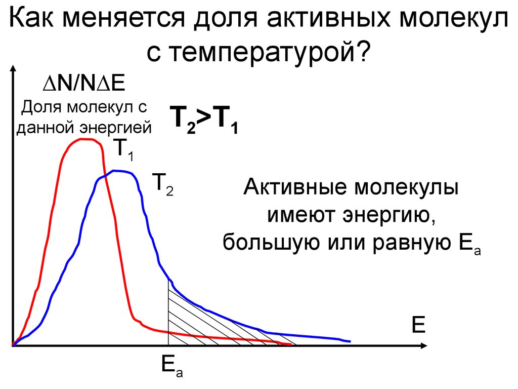 Температура зависит от молекул. Доля активных молекул. Активность молекулы. Активные молекулы и энергия активации. Доля активных молекул и энергия активация.