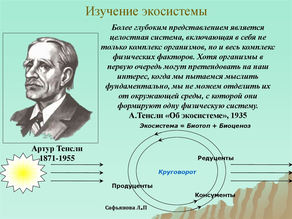 Изучение экосистемы. Тенсли экосистема. Учёные изучающие экосистемы. Биогеоценоз ученый. Учение об экосистеме Тенсли.