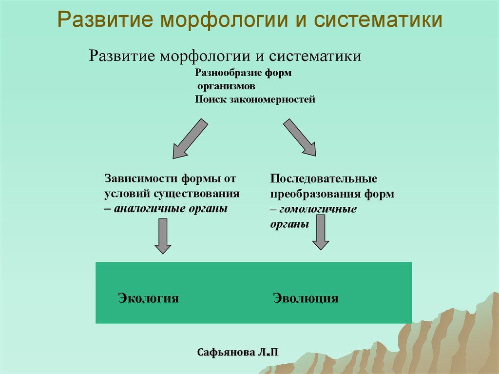 Предмет задачи и методы экологии презентация