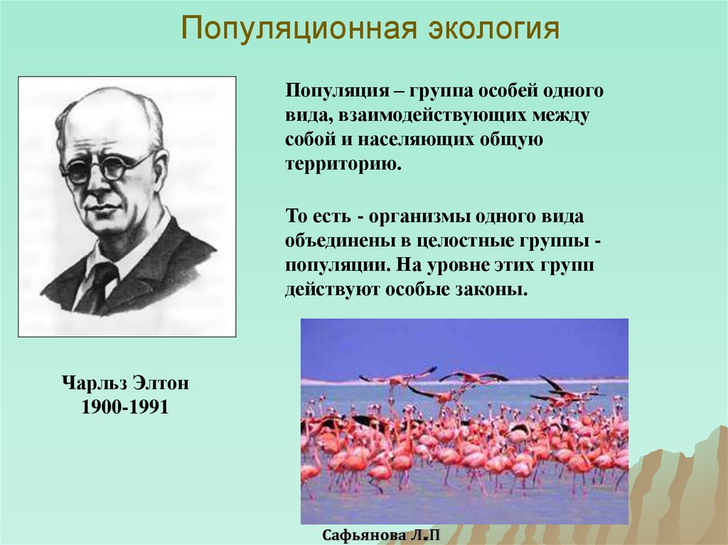 Над популяция. Чарльз Элтон популяционный подход. Популяционная экология. Популяция это в экологии. Понятие о популяции.