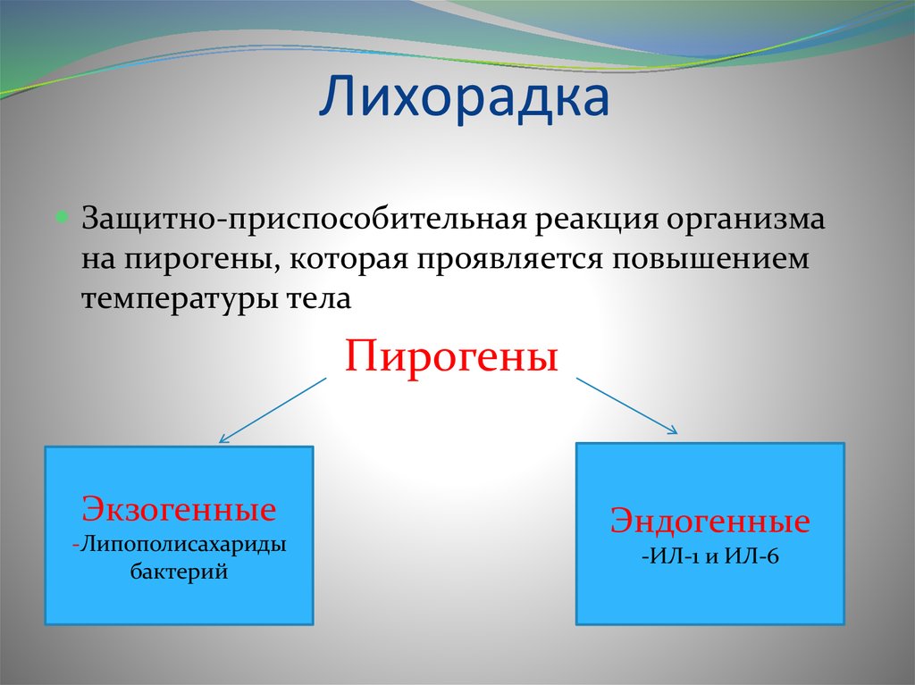 Мышиная лихорадка презентация