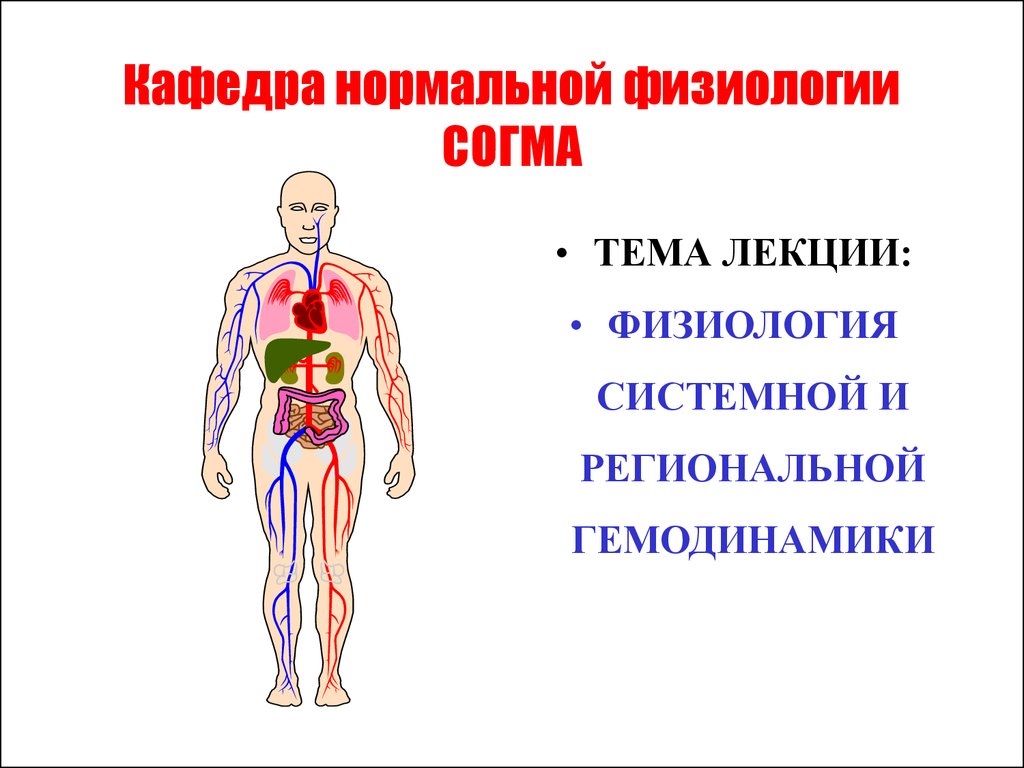 Нормальная физиология. Гемодинамика физиология. Системная гемодинамика физиология. Гемодинамика нормальная физиология. Системная гемодинамика это.