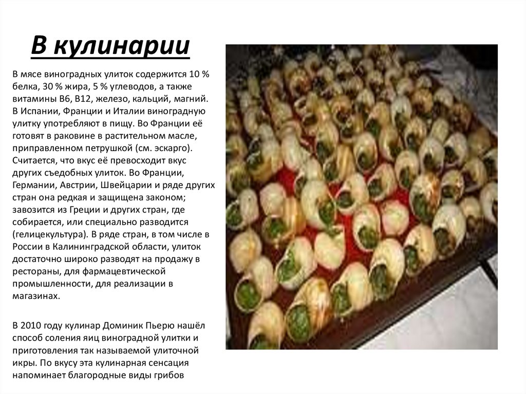 Виноградная улитка как приготовить быстро и вкусно в домашних условиях рецепт с фото пошагово