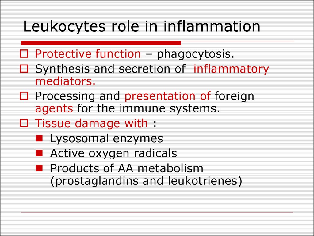 Leukocytes role in inflammation