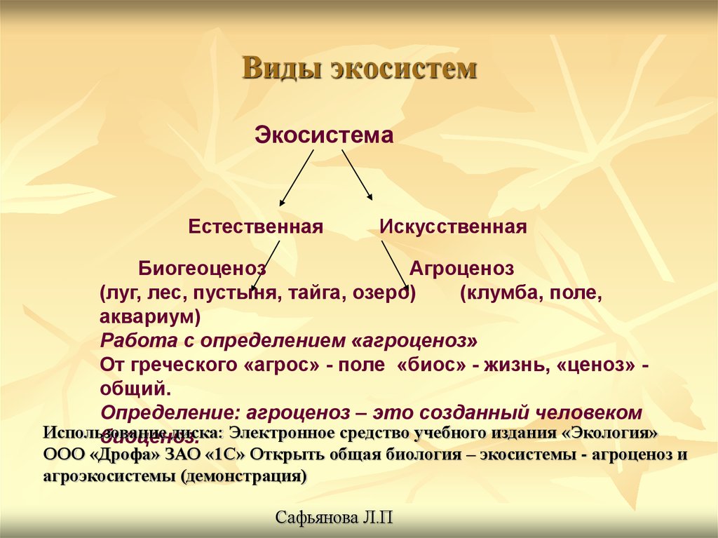 Агроэкосистема как искусственное сообщество организмов презентация 9 класс