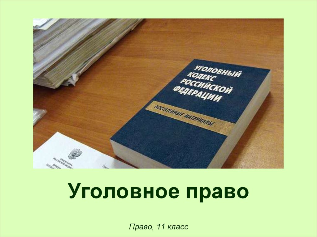 Презентация по теме уголовное право