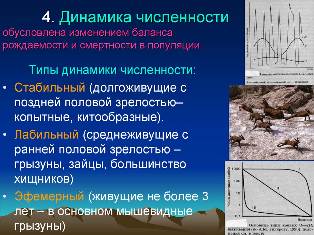 Динамика популяции презентация