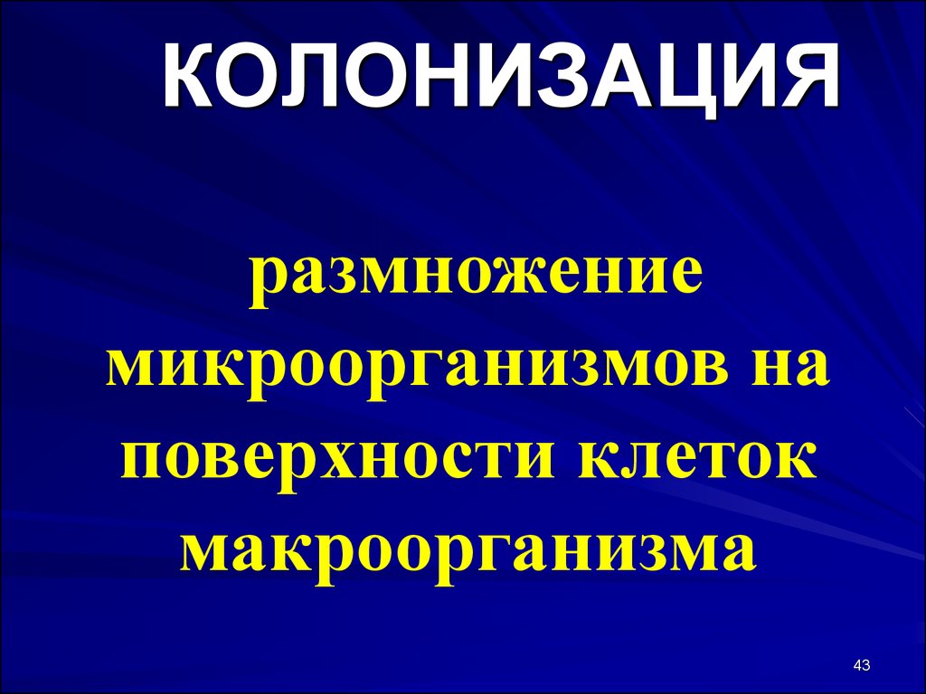 Что такое колонизация. Колонизация это микробиология. Колонизация бактерий. Микробная колонизация. Колонизация термин.